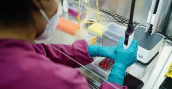 Covid, effetto virus sui maschi: anche dopo 3 mesi meno spermatozoi e più lenti