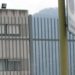 Gazza ladra aggredisce agente penitenziario nel carcere di Sulmona