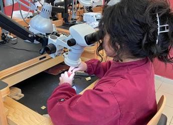 ‘Imparare facendo’, l’arte dell’incassatura in un nuovo percorso formativo