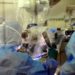 Medicina, a Fabio Cofano premio Neuromed per la chirurgia spinale
