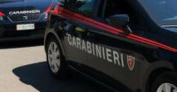 Trento, giovane runner trovato morto nei boschi: forse ucciso da orso