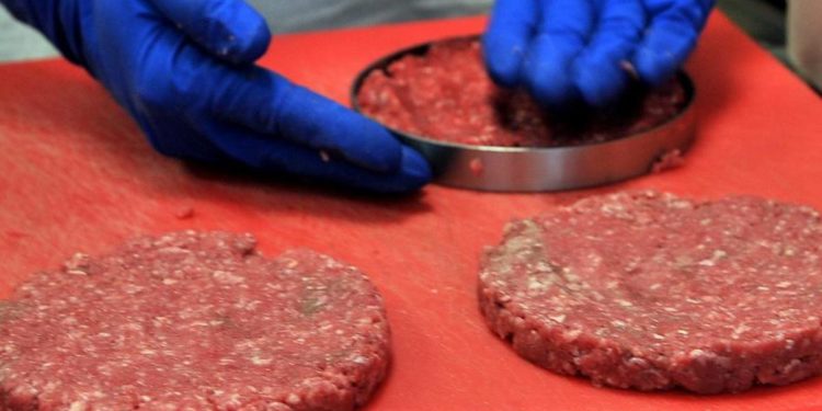 Stop a carne e cibi sintetici, in arrivo multe salate: bozza decreto