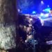 Treviso, auto contro platano a Motta di Livenza: morte due ragazze