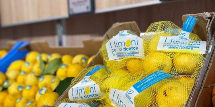 Lidl rinnova impegno nella ricerca sostenendo campagna Fondazione Veronesi