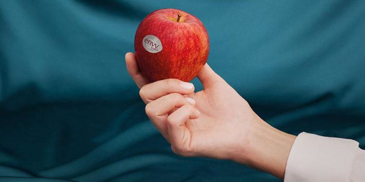 Welfare, il piacere meglio cercarlo nelle cose semplici e nella natura