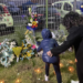 Il cuore grande di Crotone e Cutro, gara di solidarietà