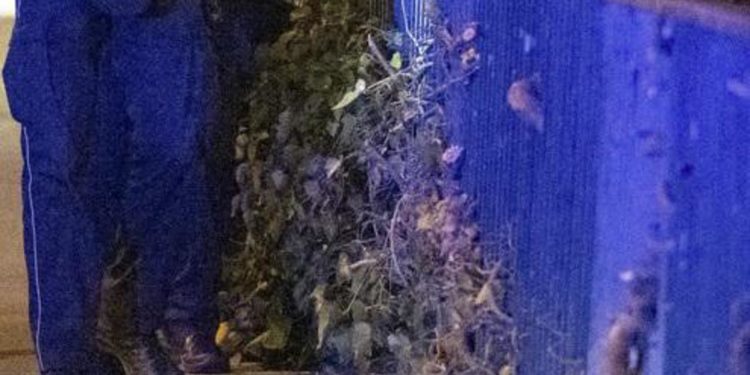 Germania, 12enne uccisa a coltellate: sospettate due coetanee