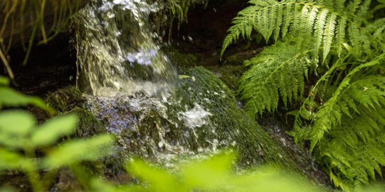Sanpellegrino, in 5 anni risparmiati 295 mln litri di acqua nei processi produttivi