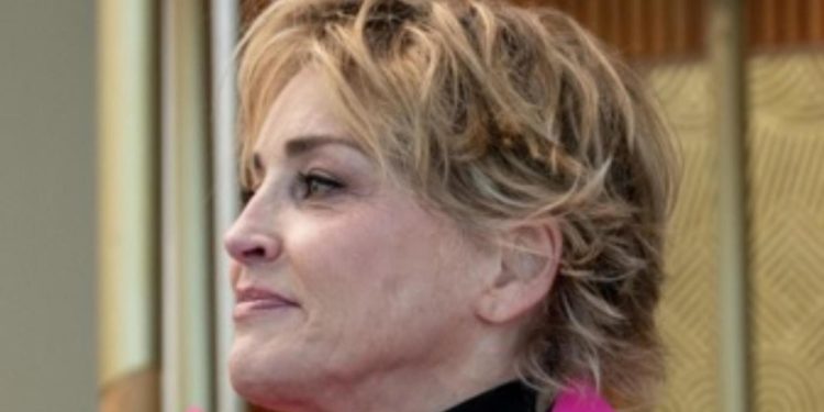 Sharon Stone: “Persi la custodia di mio figlio per Basic Instinct”