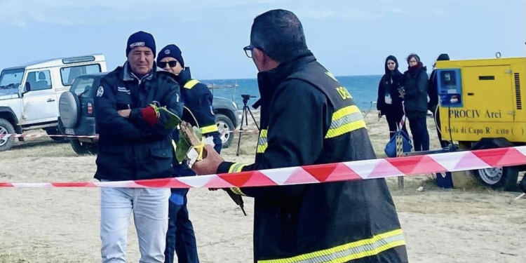 Vigile fuoco lascia rosa su luogo ritrovamento bimbo