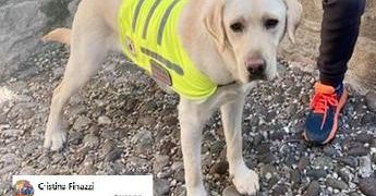 Bergamo, niente funicolare per cane di bimbo autistico: gente insorge