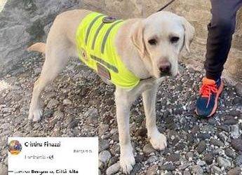 Bergamo, niente funicolare per cane di bimbo autistico: gente insorge