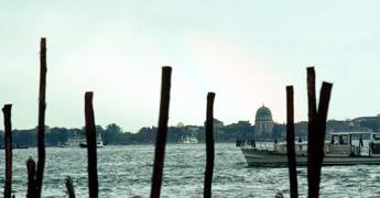 Botrillo, da invertebrato di laguna speranze contro Alzheimer e Parkinson