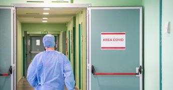Covid Italia, i dati Iss: lieve diminuzione contagi, ricoveri stabili