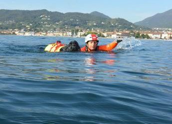 Estate, Sics: 300 cani salvataggio pronti a salvare vite a mare e laghi, venerdì giornata mondiale