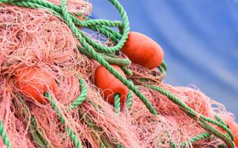 Fondo Europeo per Affari Marittimi, Pesca e Acquacoltura, ripartiti 285 mln euro