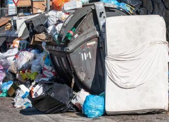 Termovalorizzatore Roma: cosa dicono Pd, M5S, Terzo Polo e Sinistra-Verdi