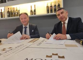 Vinitaly, Ismea investe 2,4 mln nella cantina Terre Cortesi Moncaro