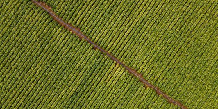 Philip Morris, Coldiretti Umbria: “Ulteriore tassello progetto ampio respiro territorio umbro”