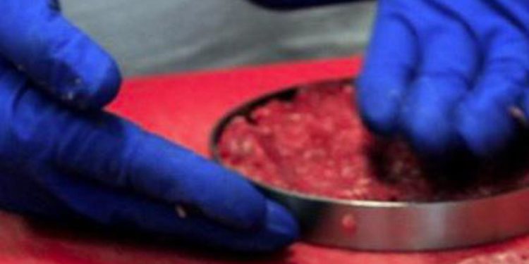 Carne sintetica Italia, chef Locatelli: “E’ buonissima”