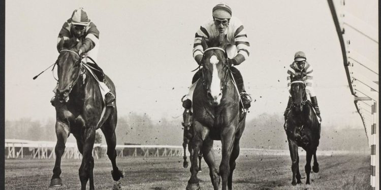 A San Siro riparte la stagione del galoppo con l’inaugurazione dell'”Archivio Storico Ippodromi Snai”