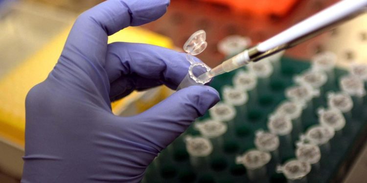 Creato il più grande atlante delle mutazioni genetiche umane