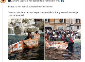 Blitz ambientalisti a Roma, carbone vegetale nella Fontana di Trevi