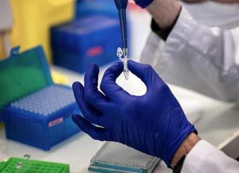 Candida auris: cos’è, come si prende e sintomi