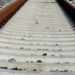 Livorno, travolta da treno merci: muore 26enne