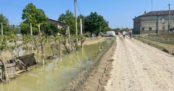 Maltempo, Confcooperative Romagna: “frutta mancherà, danno immenso ma stime tra 15 giorni”