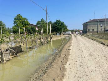 Maltempo, Confcooperative Romagna: “frutta mancherà, danno immenso ma stime tra 15 giorni”