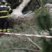 Reggio Calabria, vento a 100 Km all’ora: uomo muore travolto da un albero