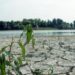 Siccità, oltre 100 milioni per interventi urgenti in 5 Regioni