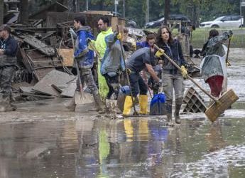 Alluvione Emilia Romagna e zanzare, Regione: “Non rilevati virus, larvicida via drone”