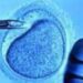 Fecondazione, mamme senza bombe ormonali con meno rischi aborto: ‘svolta per over 40’