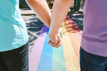 Maternità surrogata, Strasburgo boccia ricorsi coppie gay contro mancate trascrizioni