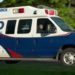 Ohio, bimbo di 2 anni trova pistola e uccide mamma incinta