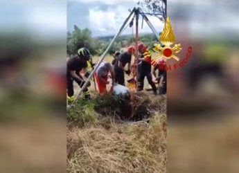 Roma, cade in un pozzo di 16 metri: il salvataggio – Video