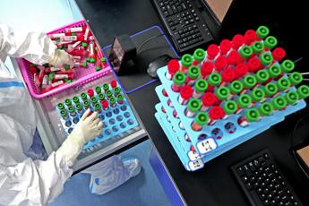 Salute, Esperti: “Con i 250mila trattamenti per Hcv, ripaghiamo terapie e screening”