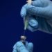 Triassi (Federico II): “Nel nuovo piano vaccinale fragilità tema centrale”