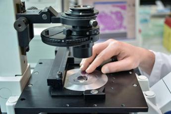 Tumori, arriva ‘Curamy’, piattaforma che facilita ricerca su mieloma multiplo