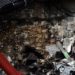 Esplode deposito di fuochi d’artificio: 9 morti e 115 feriti