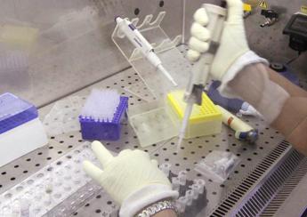 Farmaci, studio: dati positivi per monoclonale sottocute in sclerosi multipla
