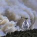 Grecia, Rodi in fiamme: forti venti ostacolano spegnimento incendi