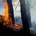 Incendi Calabria, Occhiuto: “80% dolosi, droni contro i piromani” – Video