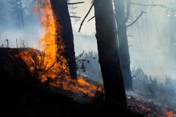 Incendi Calabria, Occhiuto: “80% dolosi, droni contro i piromani” – Video