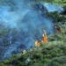 Incendi, notte di paura a Palermo: abitazioni evacuate