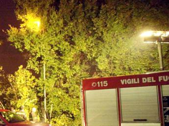 Maltempo, tromba d’aria oggi a Ravenna. Alberi cadono su asilo