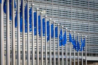 Maternità surrogata, Ue: “Competenza esclusiva degli Stati membri”
