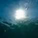 Oceani caldi con temperature record, lo studio